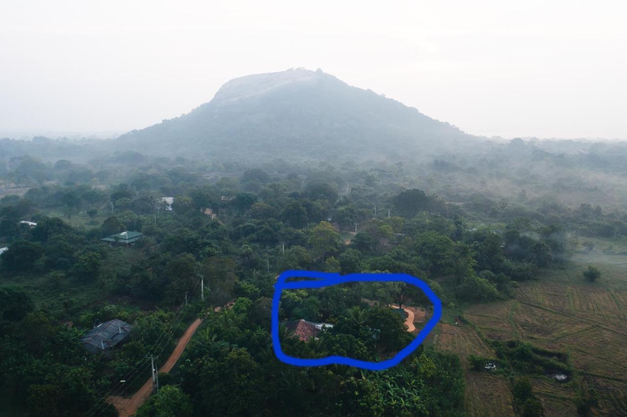 Sigiri Close-Up View Guest Sigiriya Bagian luar foto