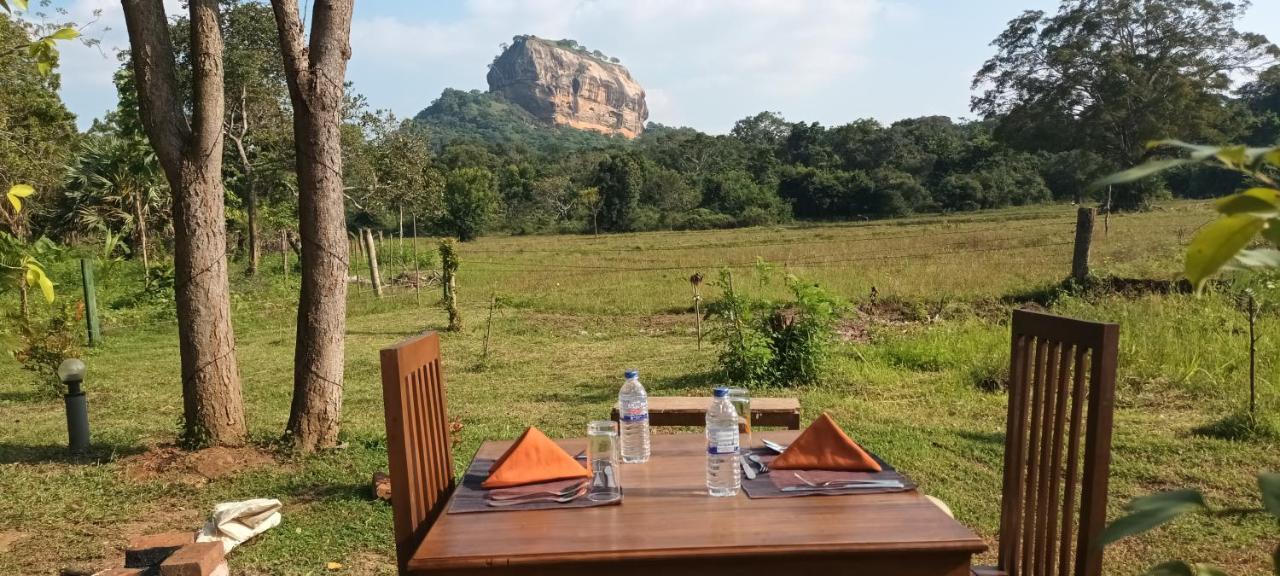 Sigiri Close-Up View Guest Sigiriya Bagian luar foto