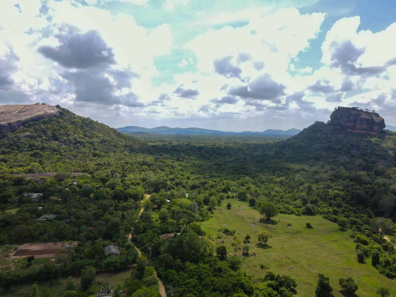 Sigiri Close-Up View Guest Sigiriya Bagian luar foto