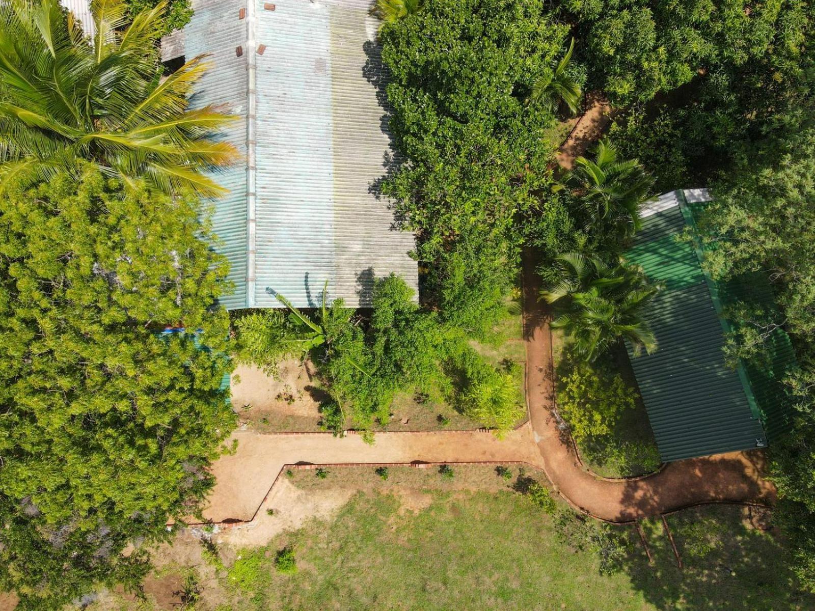 Sigiri Close-Up View Guest Sigiriya Bagian luar foto