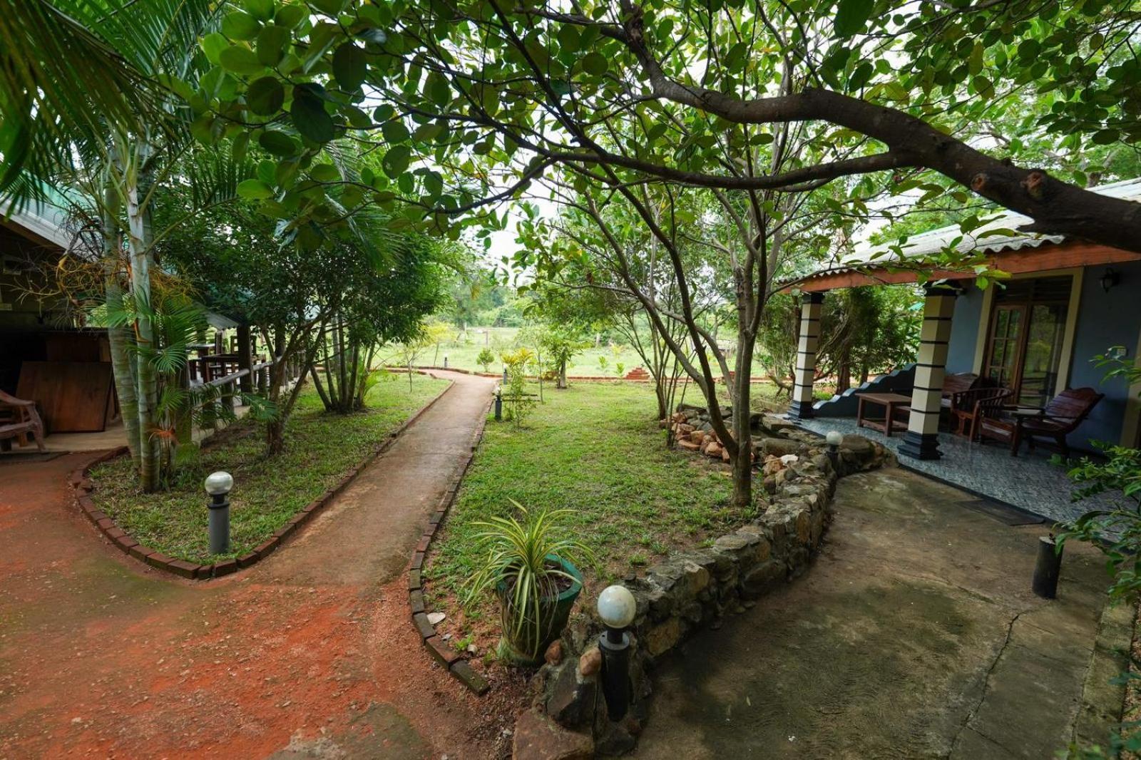 Sigiri Close-Up View Guest Sigiriya Bagian luar foto