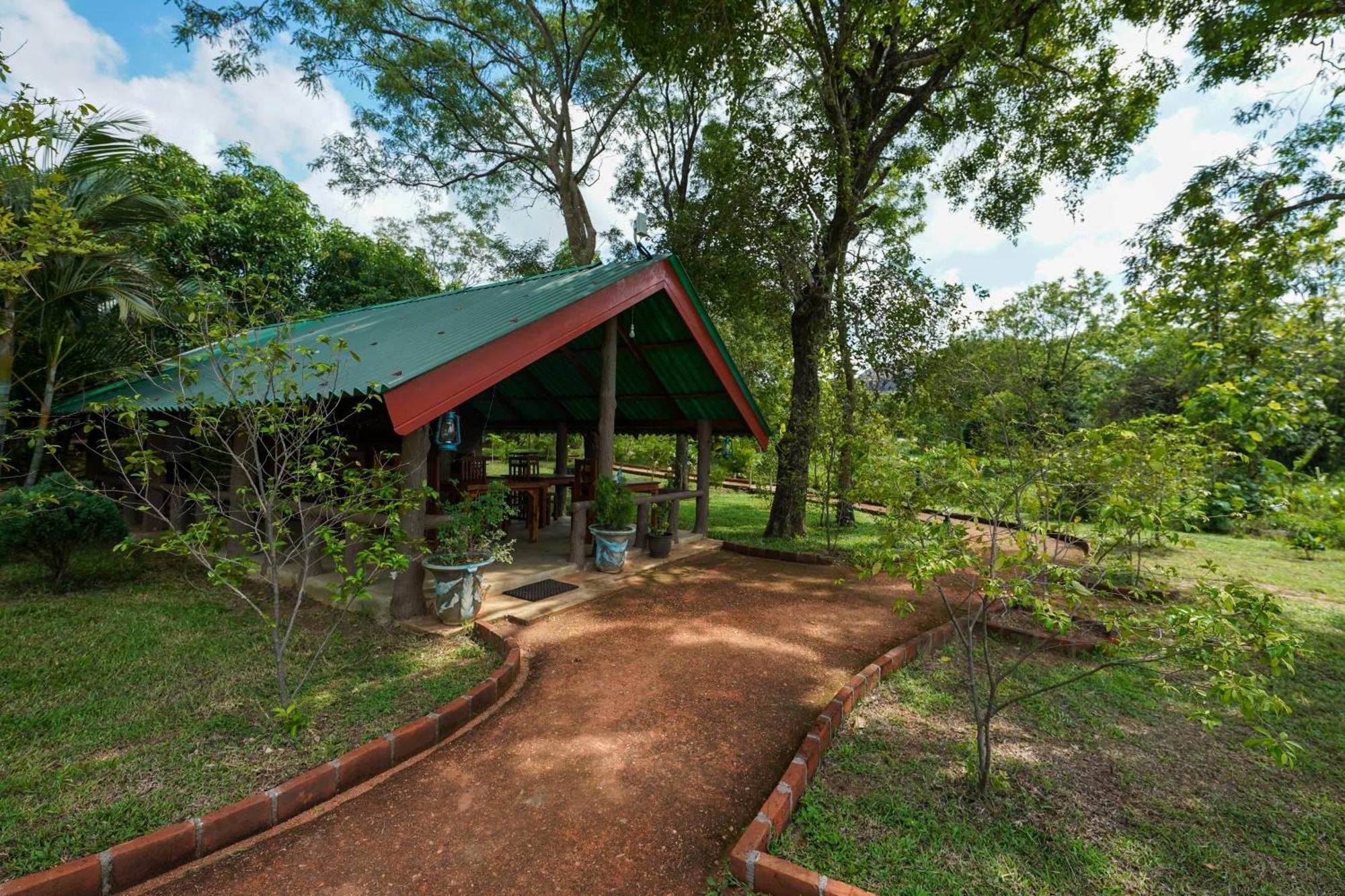 Sigiri Close-Up View Guest Sigiriya Bagian luar foto
