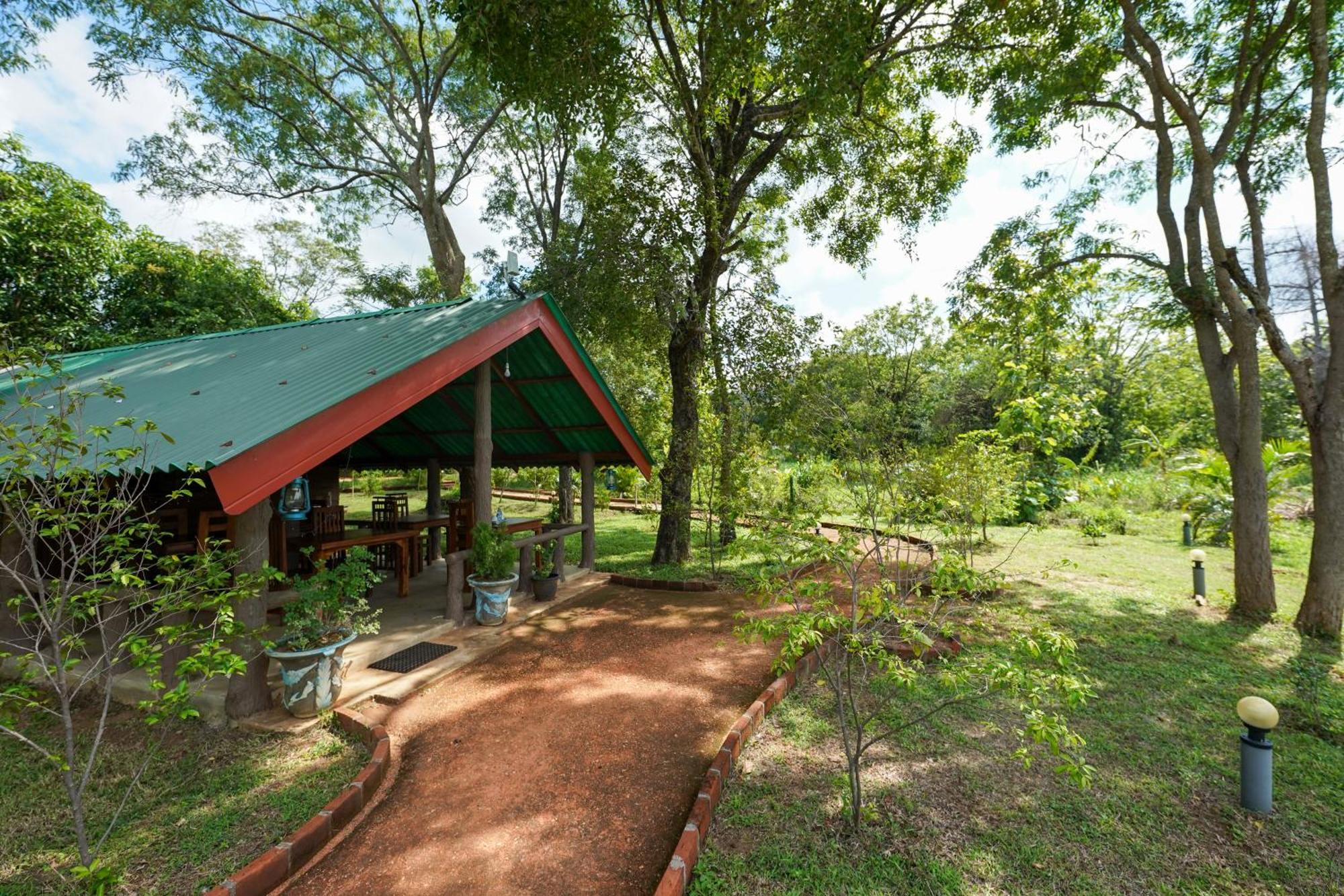 Sigiri Close-Up View Guest Sigiriya Bagian luar foto