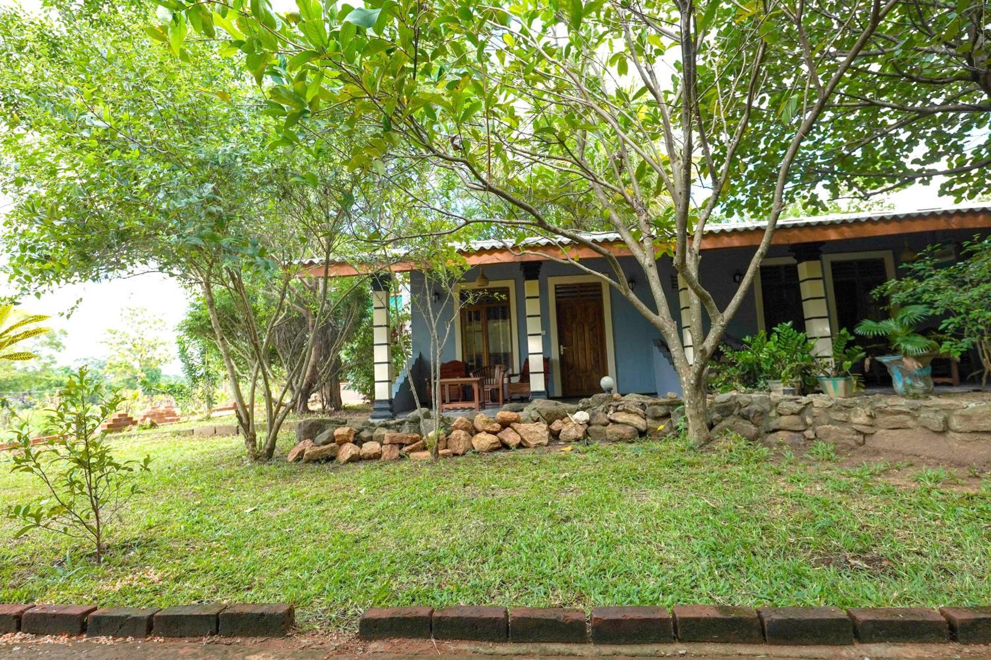 Sigiri Close-Up View Guest Sigiriya Bagian luar foto
