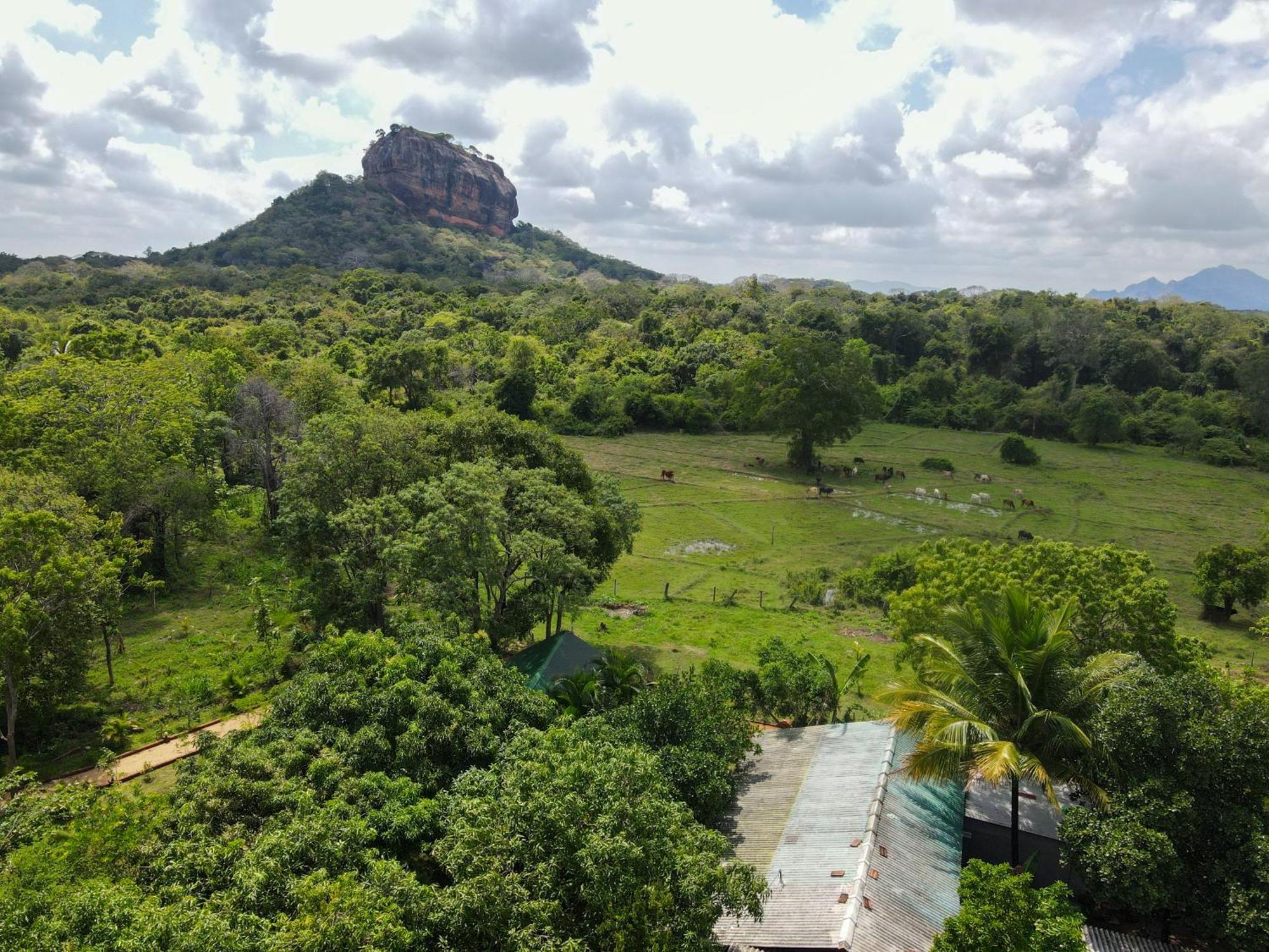 Sigiri Close-Up View Guest Sigiriya Bagian luar foto